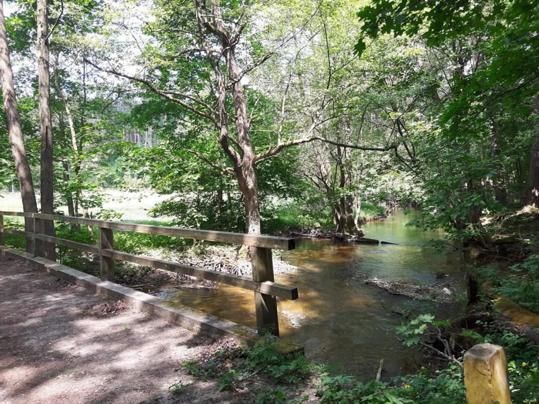 Mazury Domek Caloroczny Pelnik Jezioro Las Luaran gambar